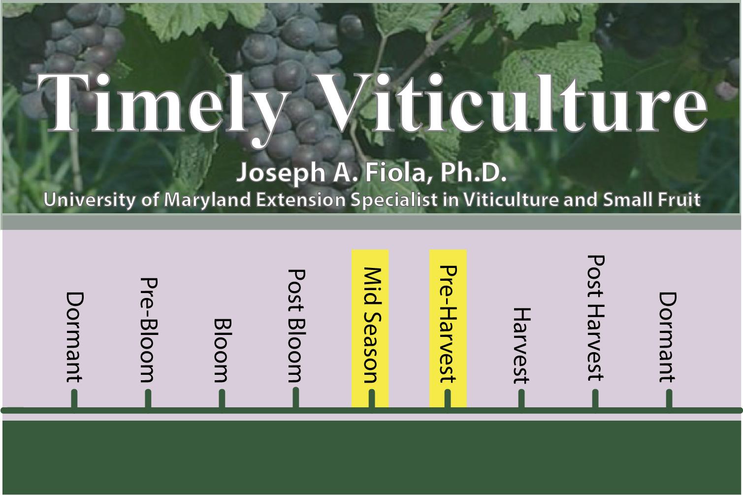 Timely Viticulture Timeline:  Mid Season and Pre-Harvest