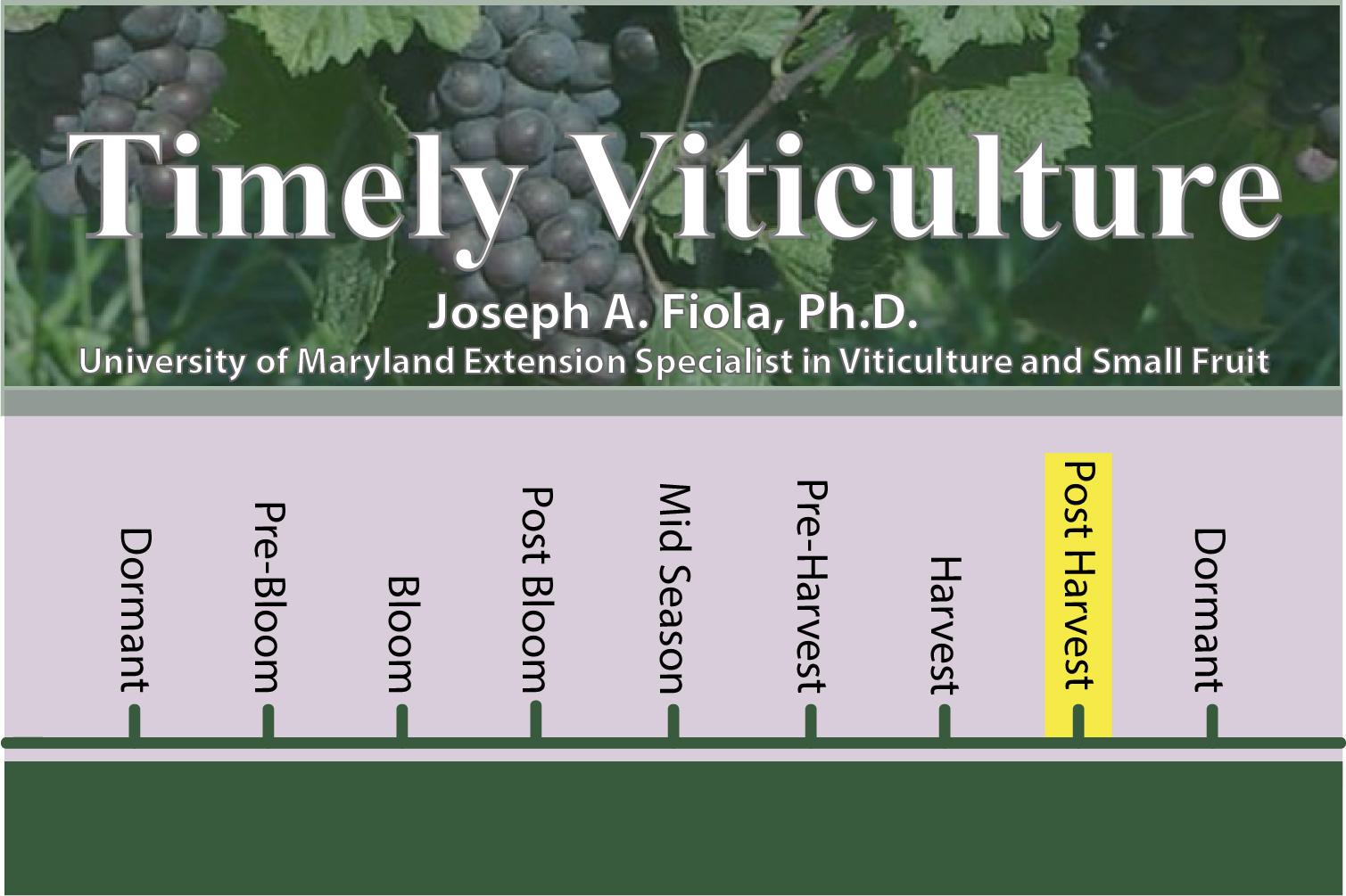 Timely Viticulture Timeline: Post Harvest