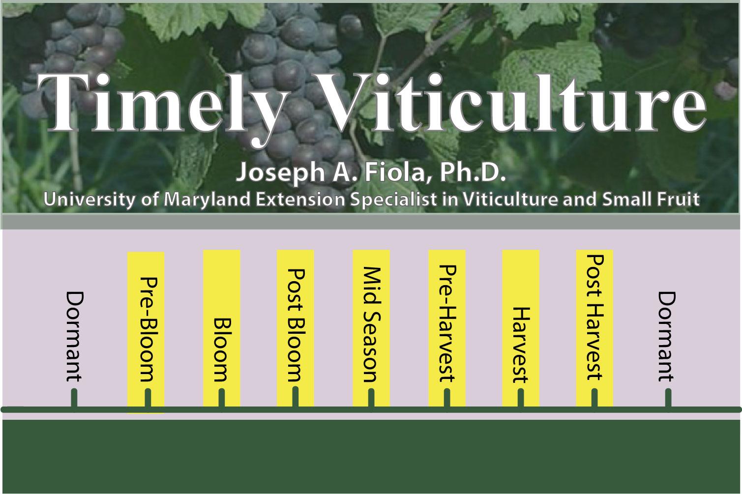 Timely Viticulture Timeline: Pre-Bloom thru Post Harvest