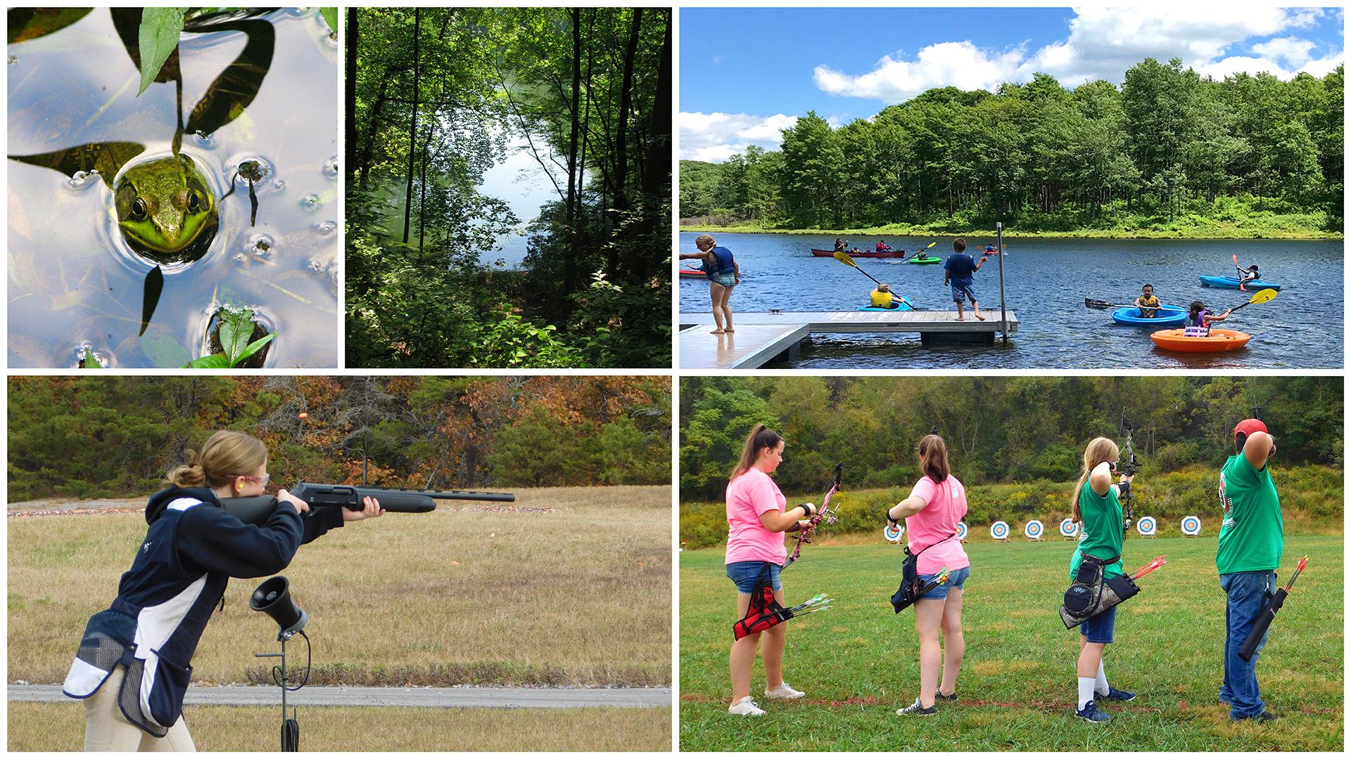 frog, lake, shooting sports, archery, swimming