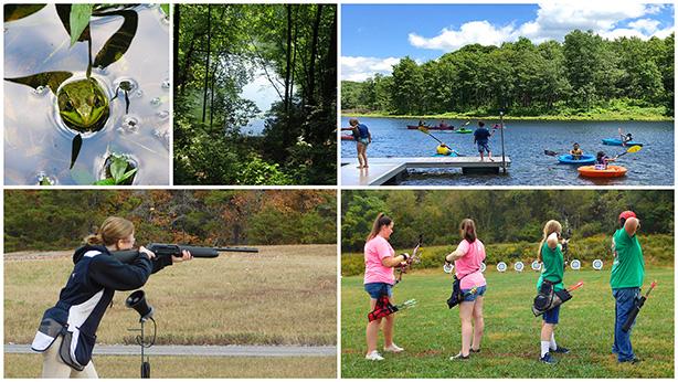 Frog, lakes, swimming, archery and shooting sports