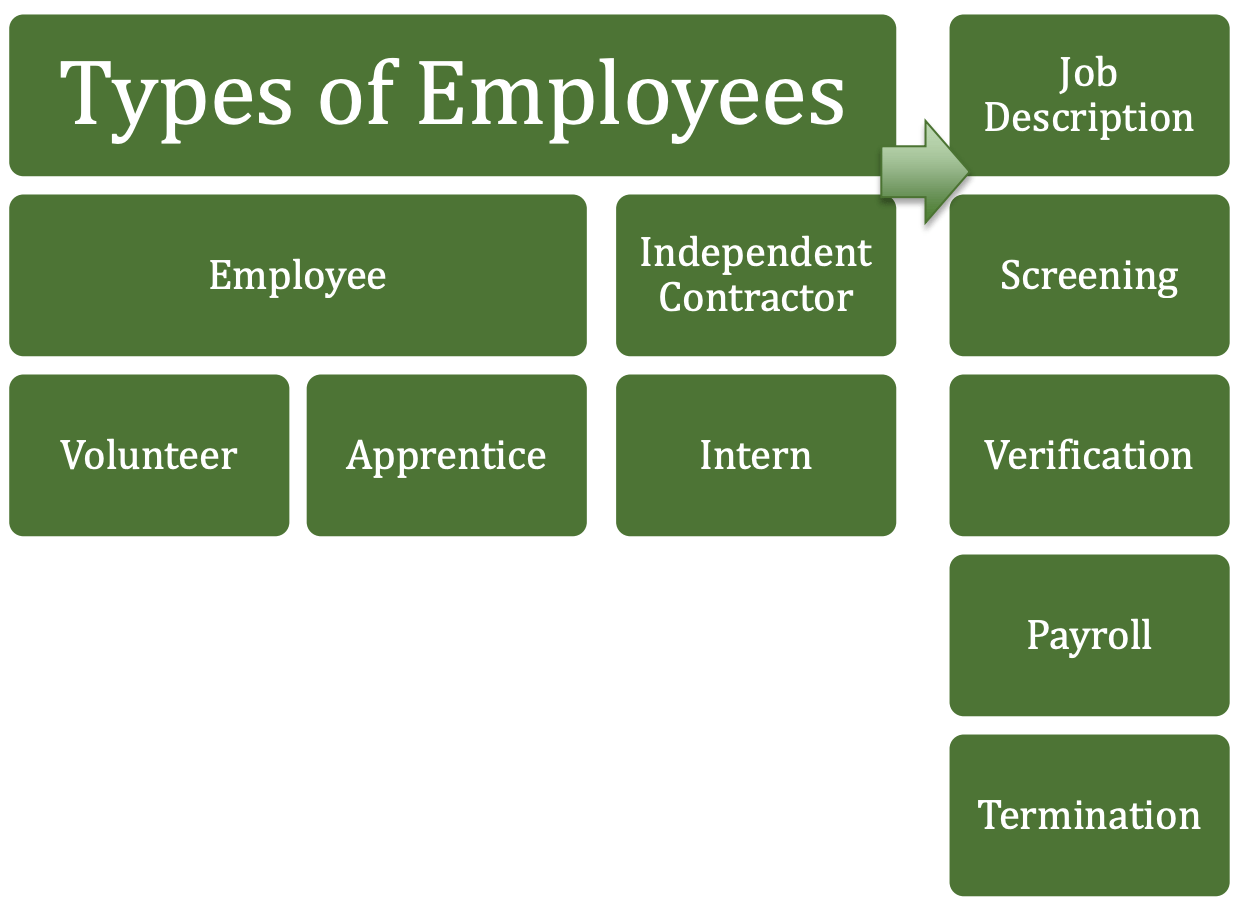 Green graphic with types of employees with an arrow pointing to job description, screening, verification, payroll, and termination
