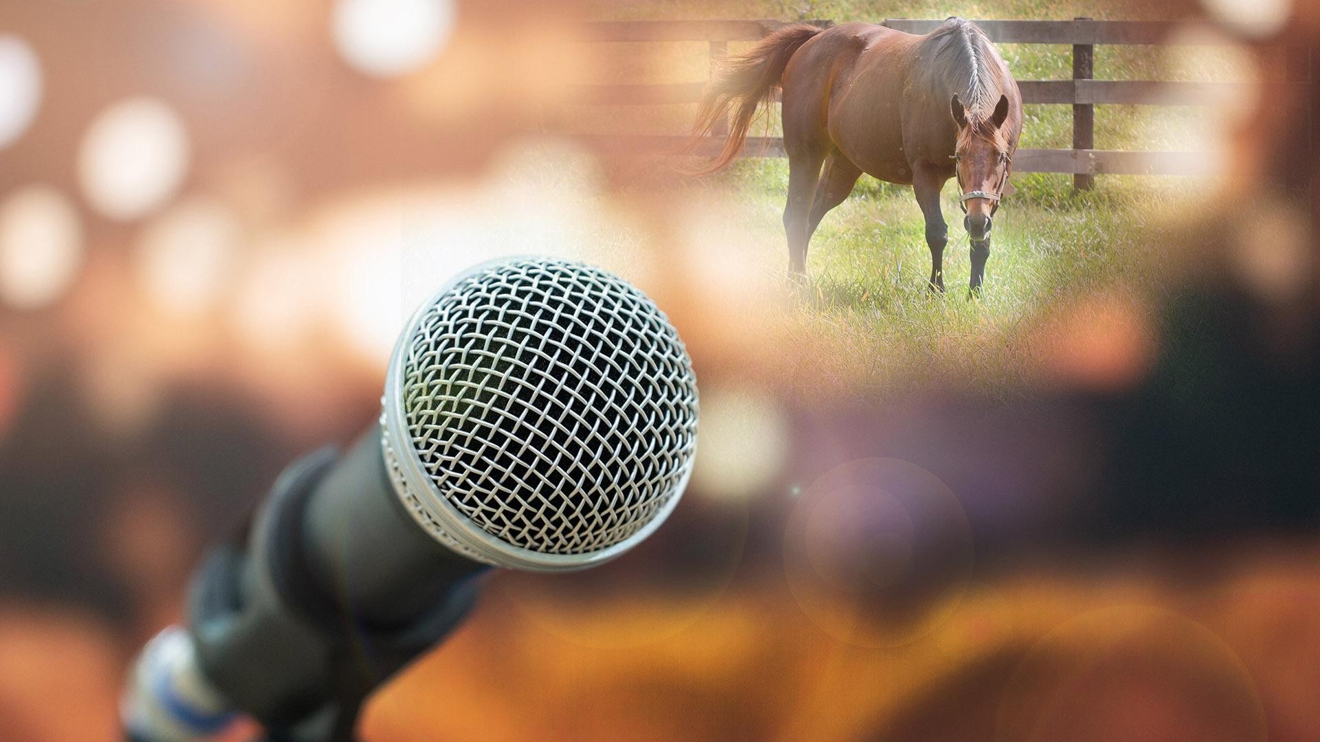 Horse and microphone