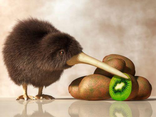 Kiwi bird with kiwi.