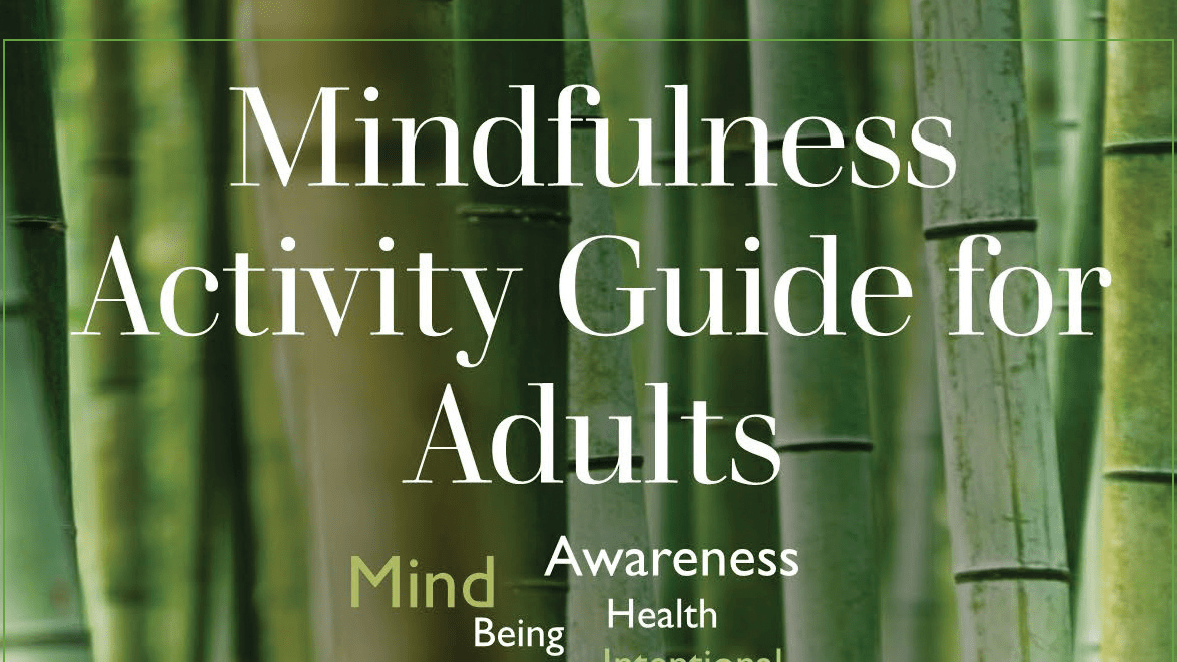 Mindfulness book for adult cover