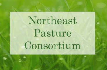 Northeast Pasture Consortium