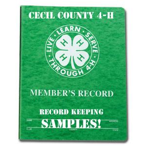 4-h record book samples