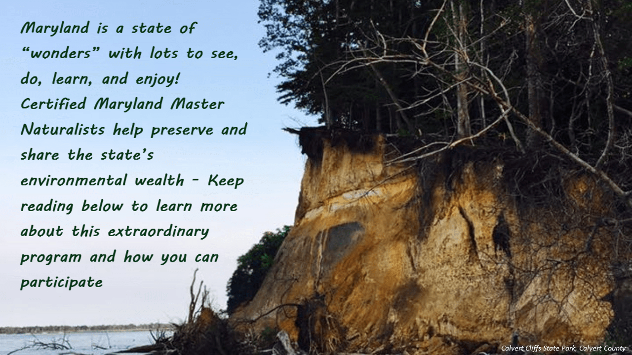 Calvert Cliffs with Quote