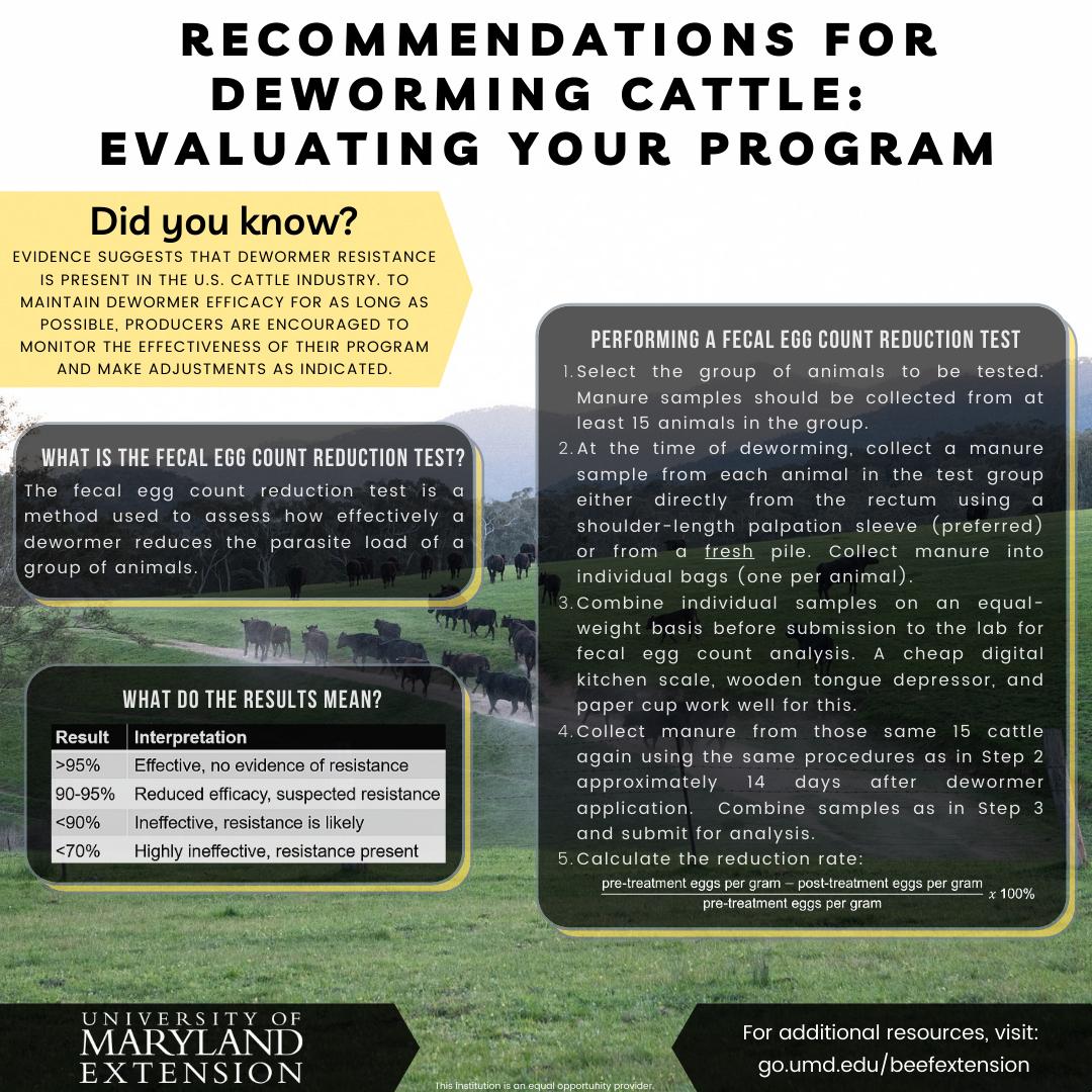 Infographic Recommendations For Deworming Cattle: Evaluating Your Program