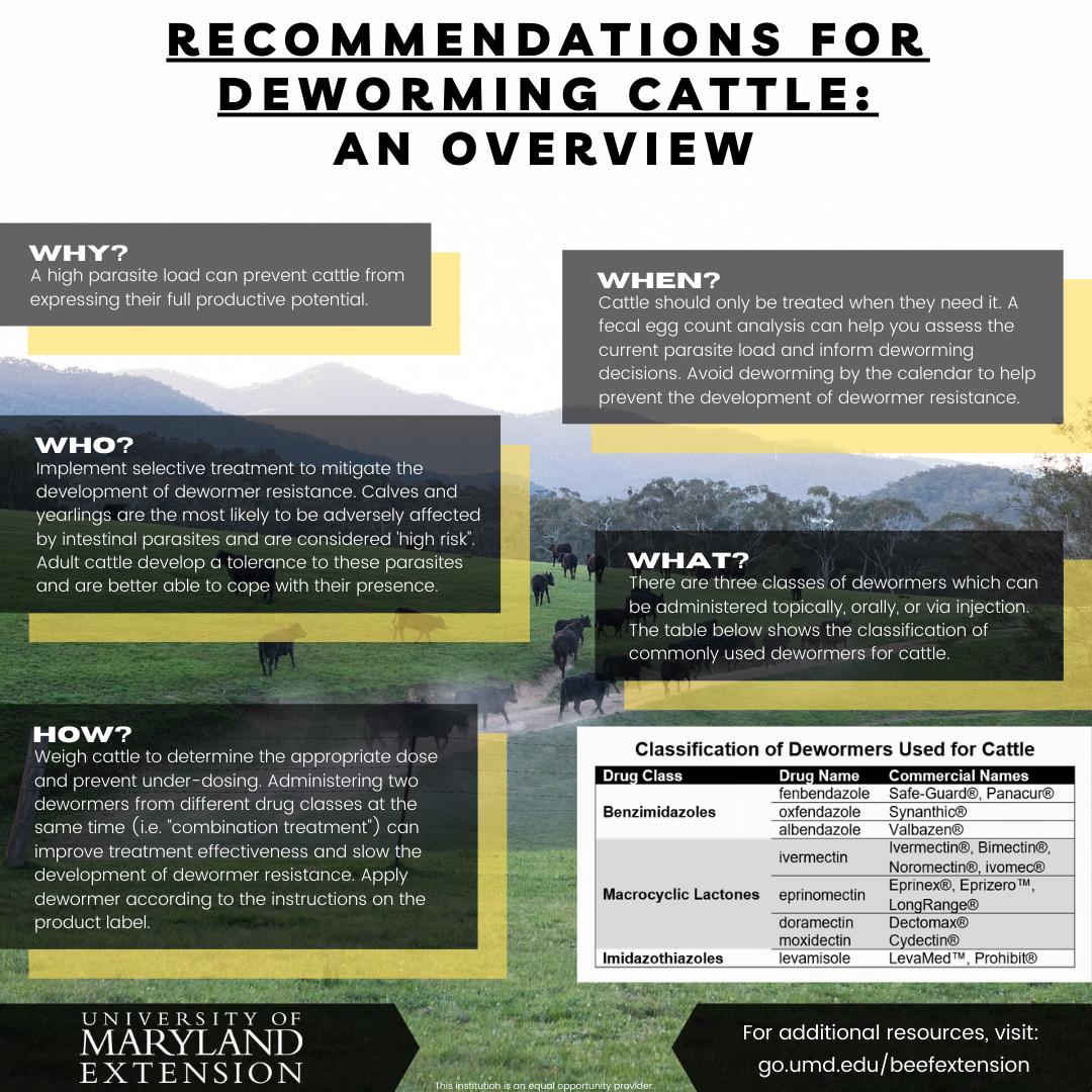 Infographic: Recommendations For Deworming Cattle: An Overview 