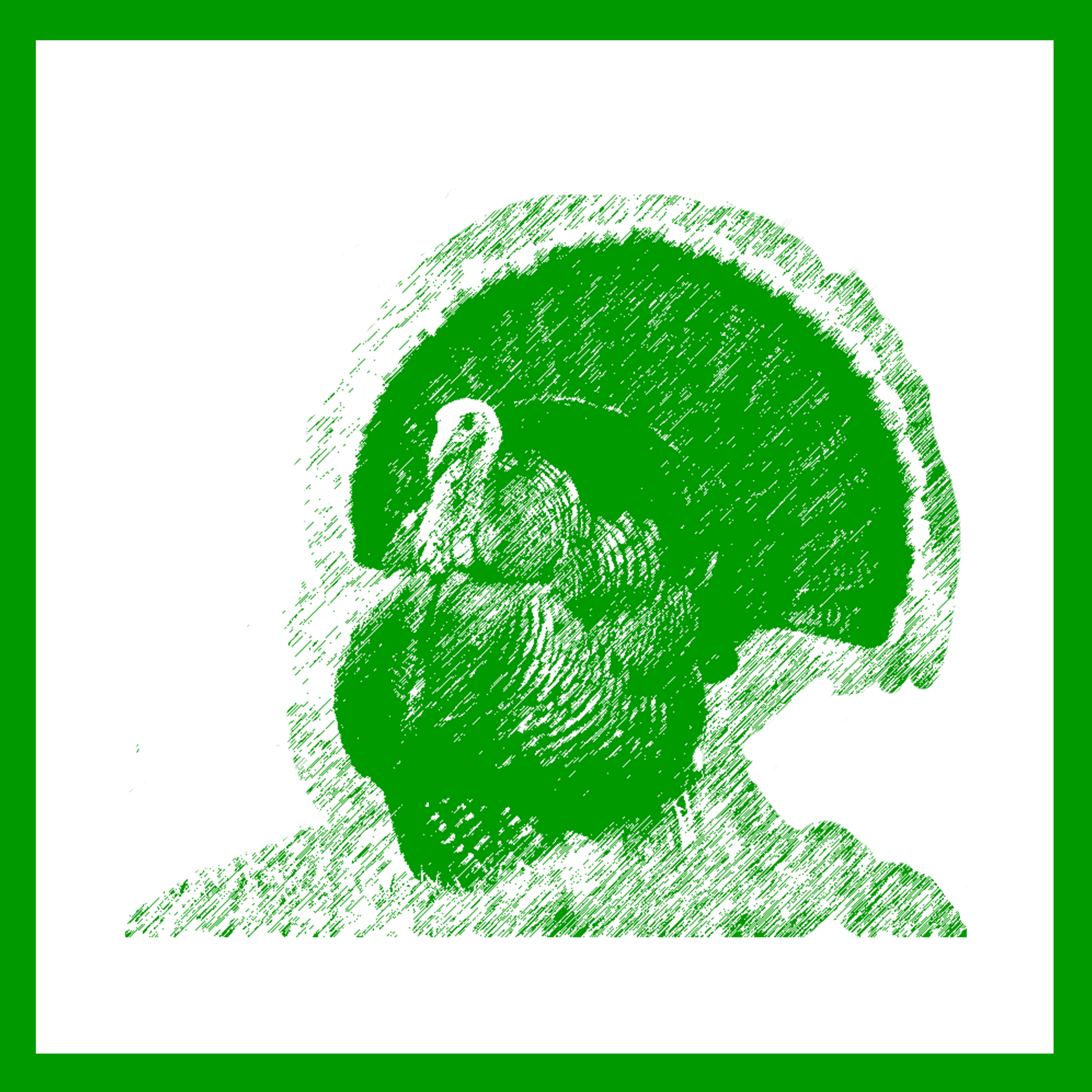 Wild turkey in edge habitat icon