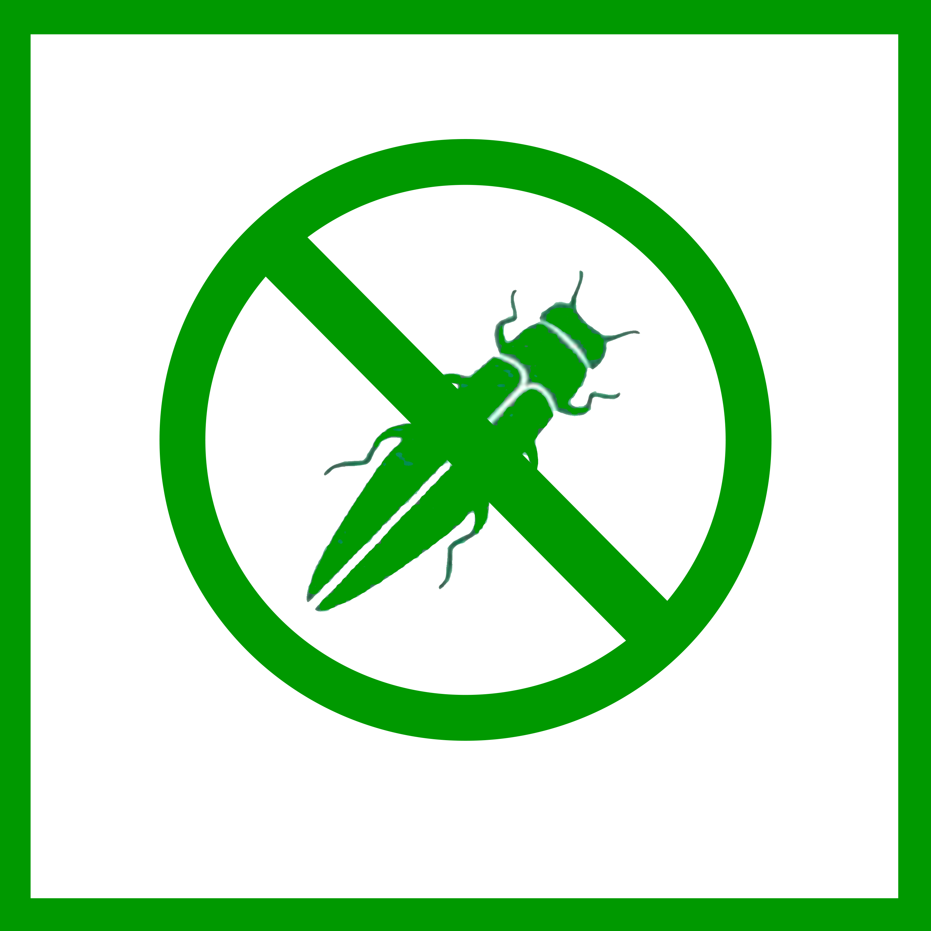Invasive insect icon