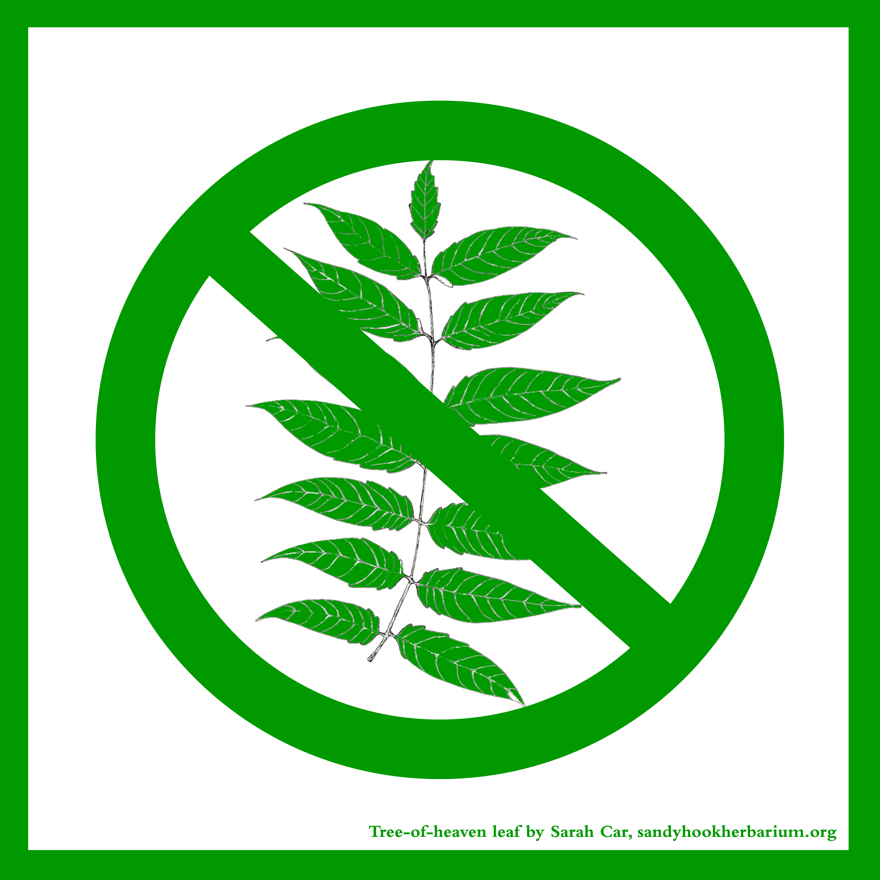 Invasive plant control icon