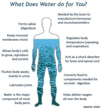 What Does Water do for You