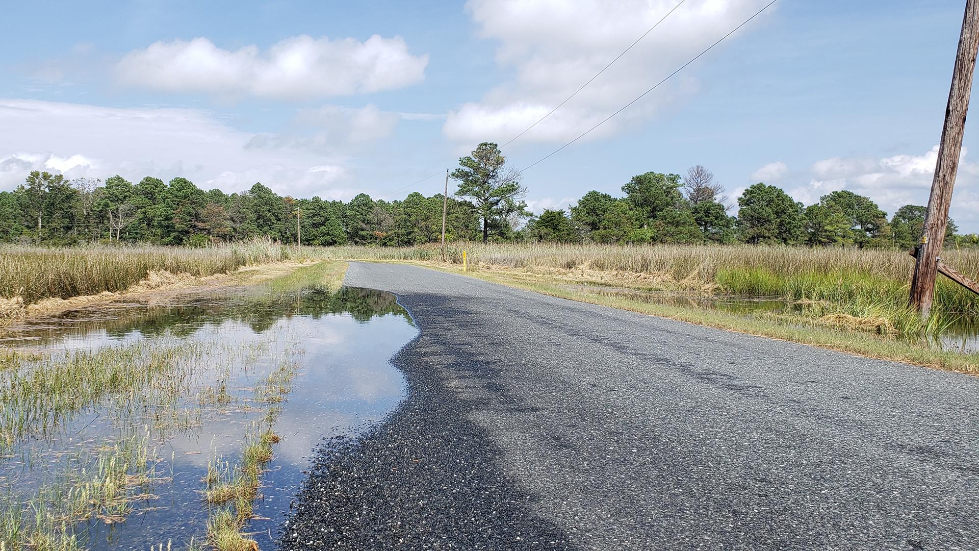 Image of floodwater encroaching on a rural Eastern Shore road