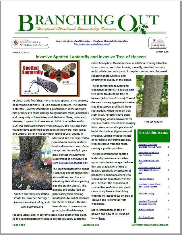 Cover of Branching Out newsletter - Winter 2018