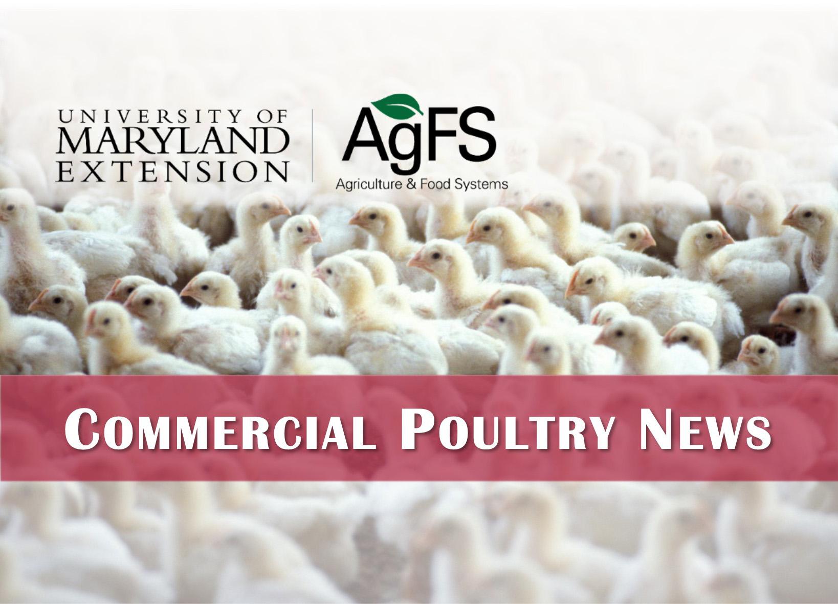 Commercial Poultry News header