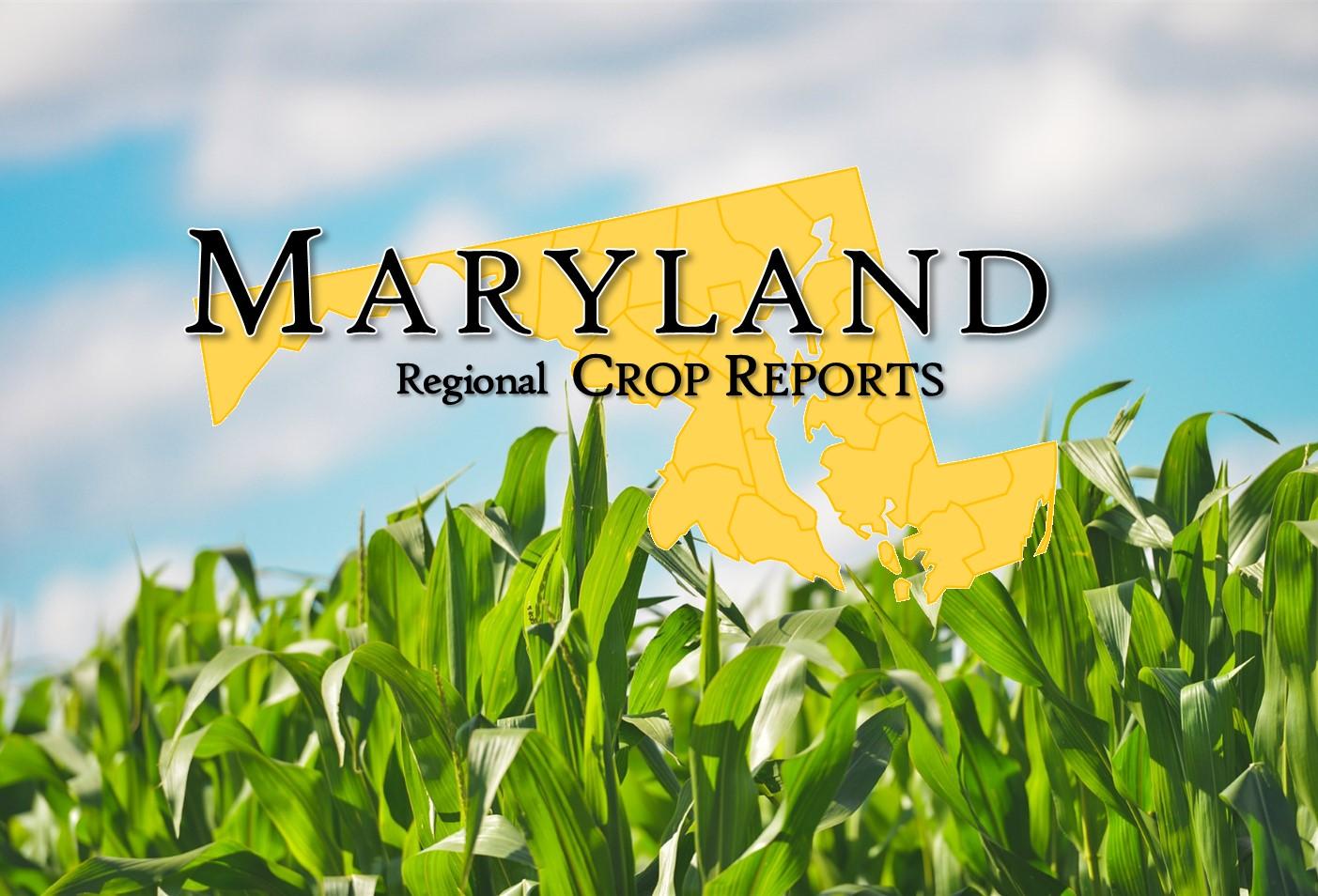 Maryland Regional Crop Reports header
