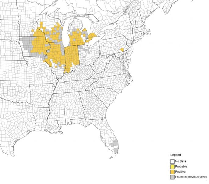 Figure 1. Map of tar spot in the United States after the 2020 growing season. Map generated from: https://corn.ipmpipe.org/tarspot/.