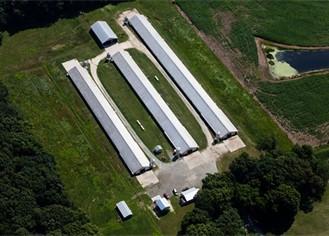 Poultry Barnes in Maryland; Image by Chesapeake Bay Program