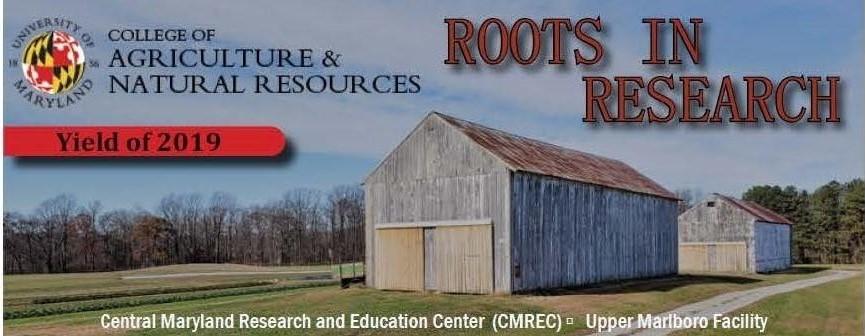 Roots In Research