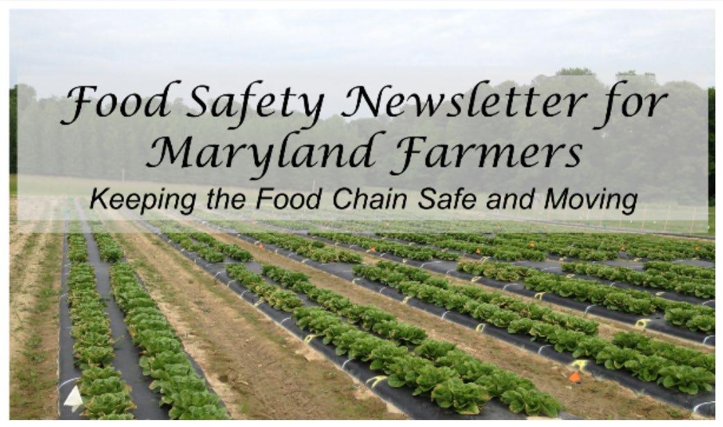 Food Safety Newsletter header