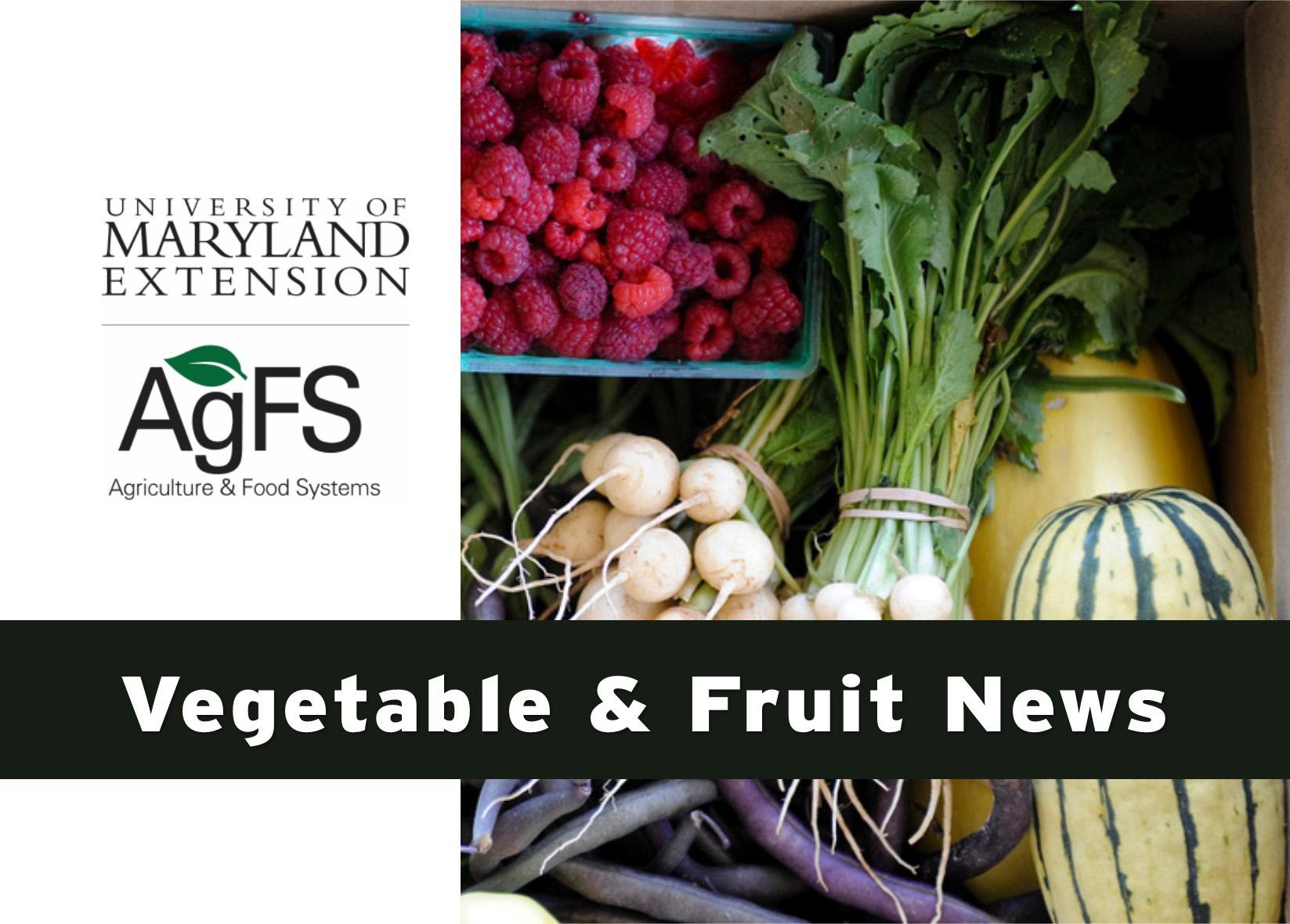 Vegetable & Fruit News header