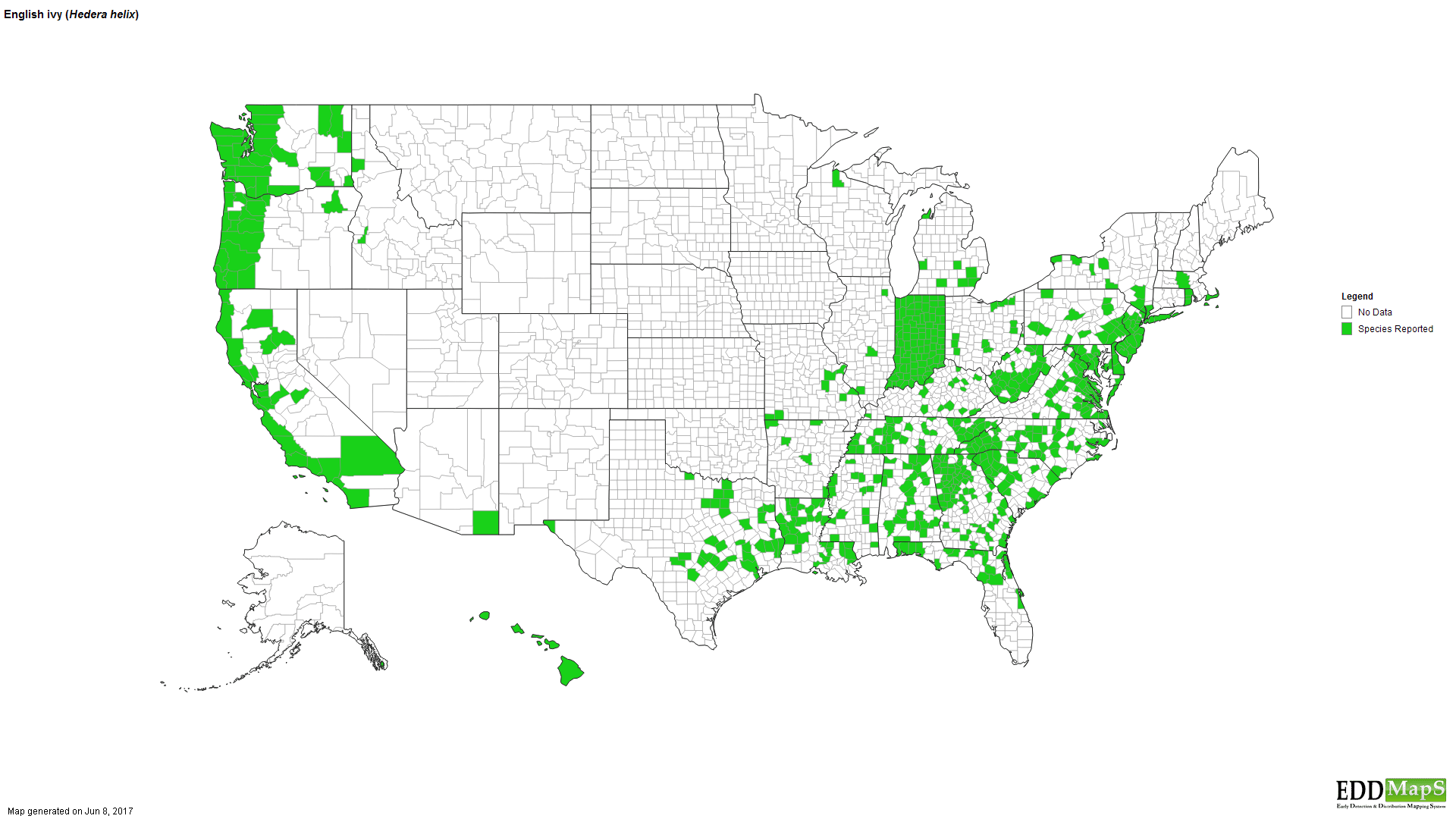 Distribution of English ivy (2016). Courtesy eddmaps.org.