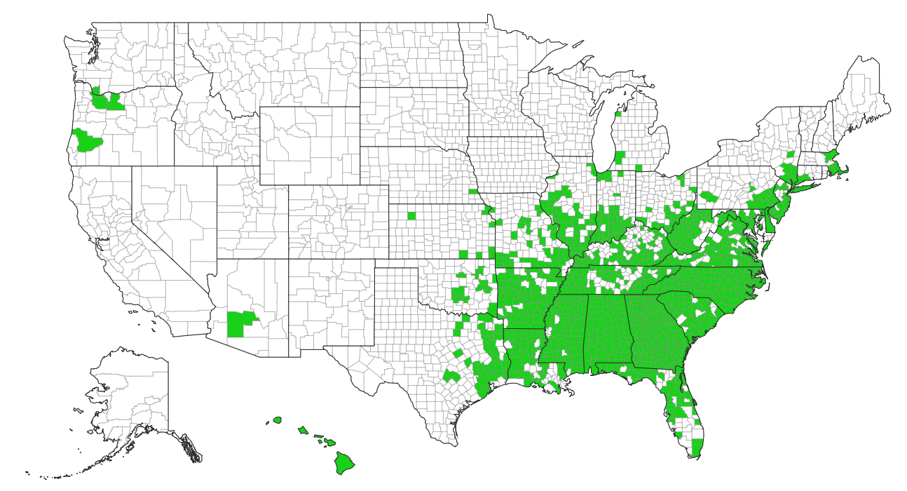 Kudzu US county distribution. Courtesy eddmaps.org.