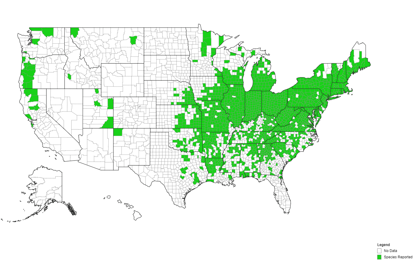 Multiflora rose US county distribution. Courtesy eddmaps.org.