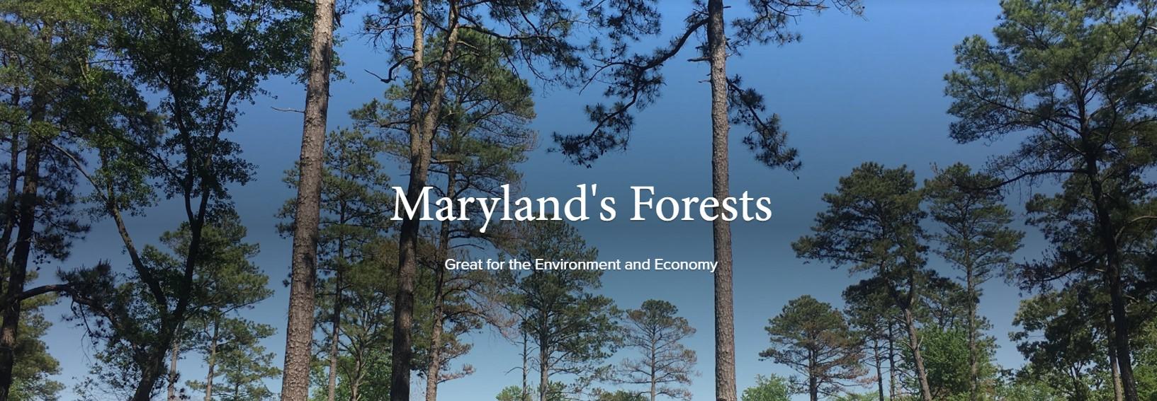 Maryland's Forests