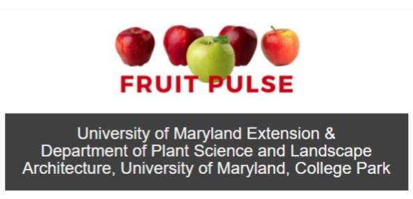 Fruit Pulse header