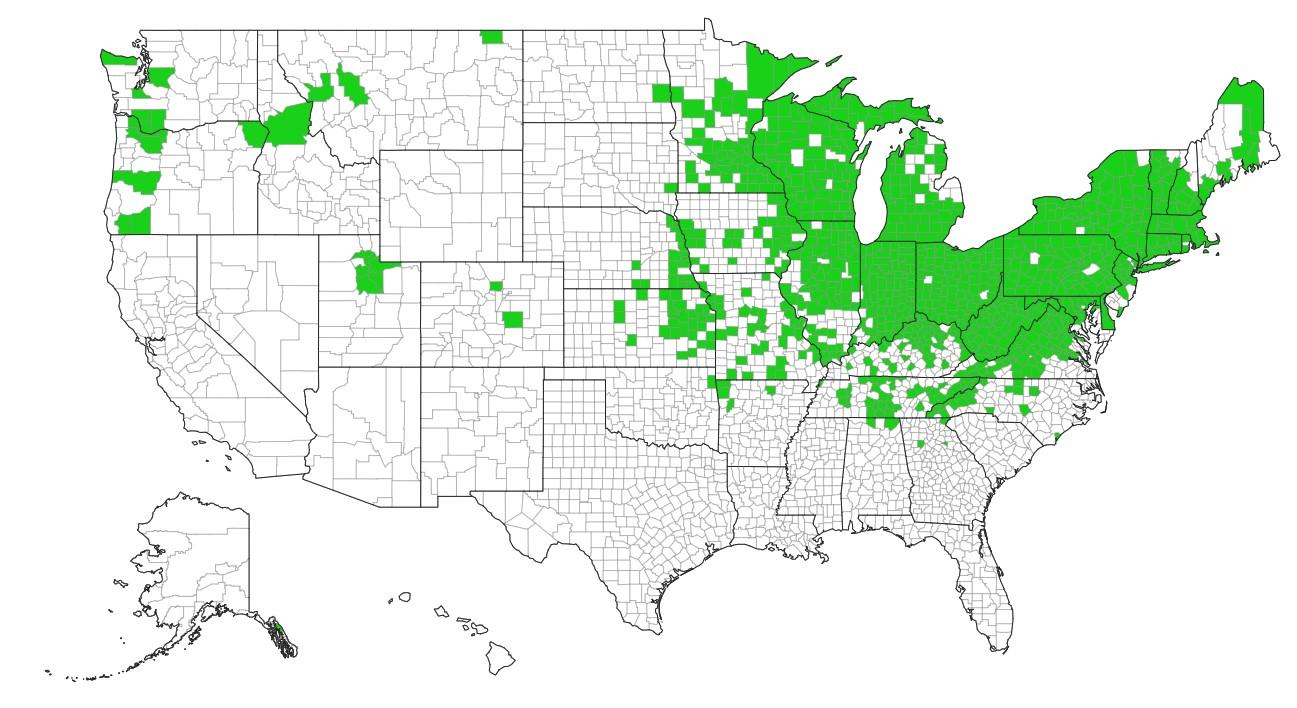 Garlic mustard US county distribution. Courtesy eddmaps.org.