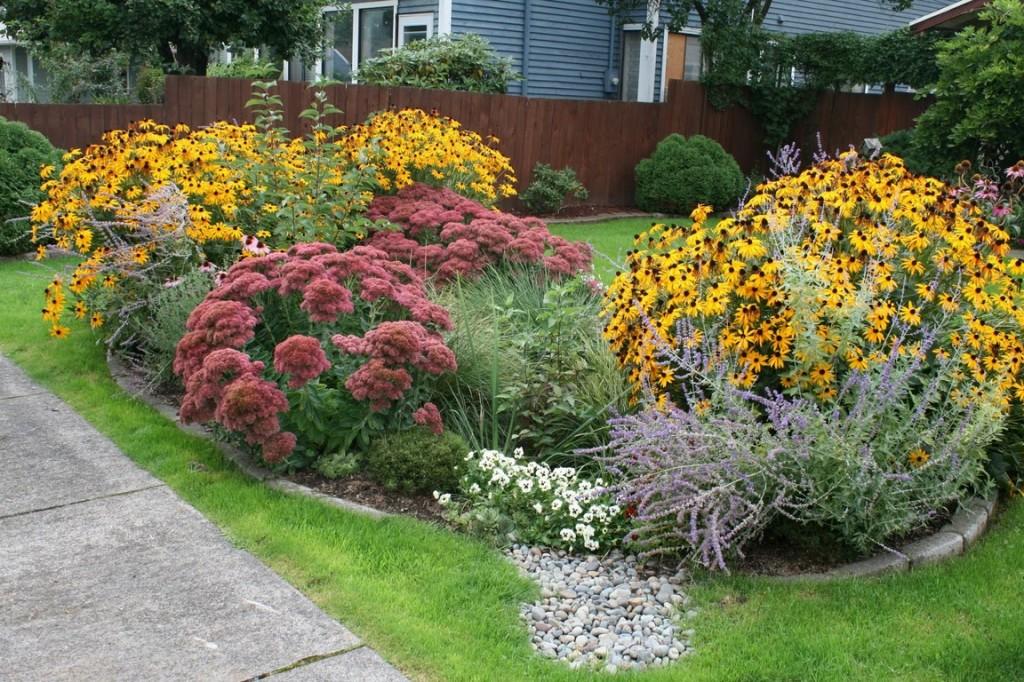 conservation-landscaping-university-of-maryland-extension