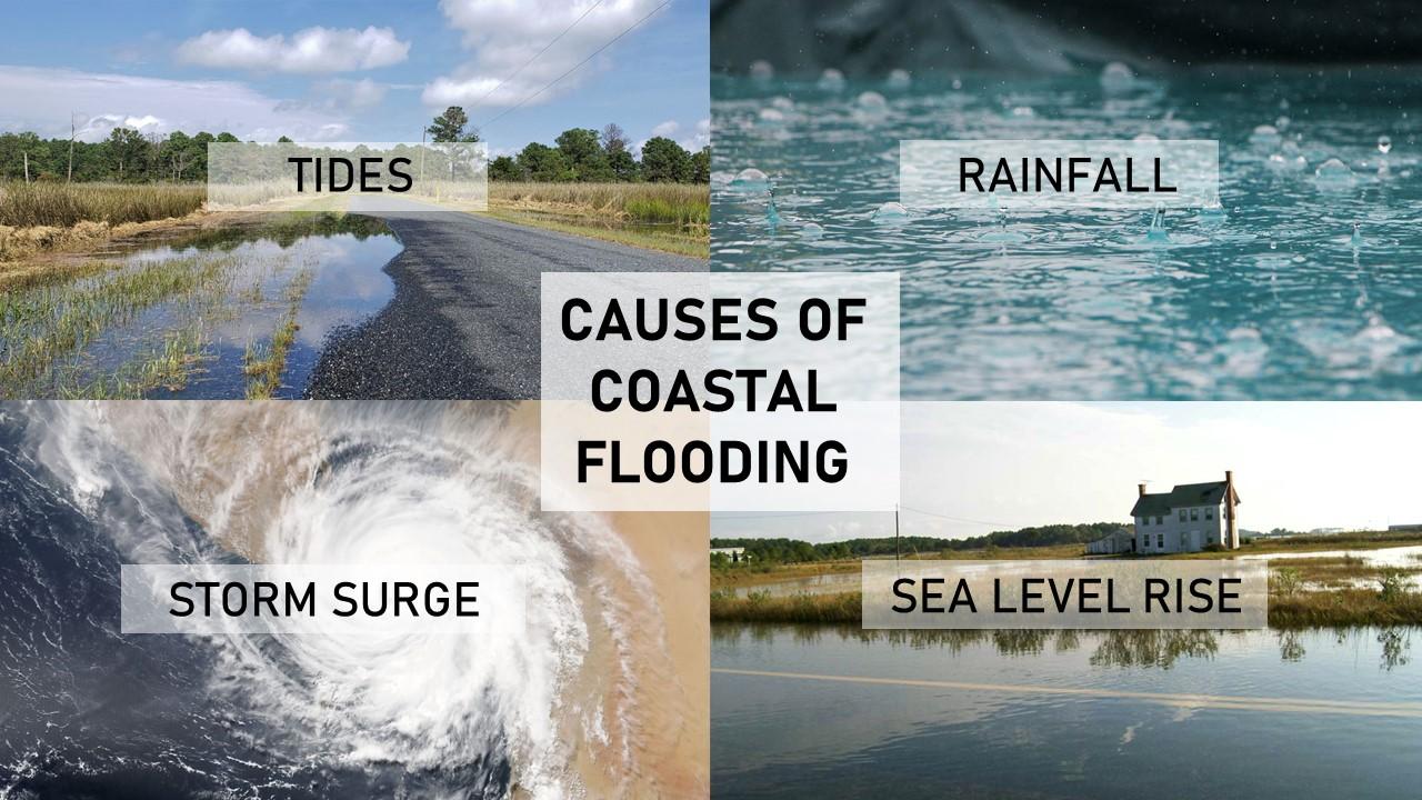 Presentation image consisting of 4 photos showing the causes of coastal flooding: Tides, Rainfall, Storm Surge, and Sea Level Rise