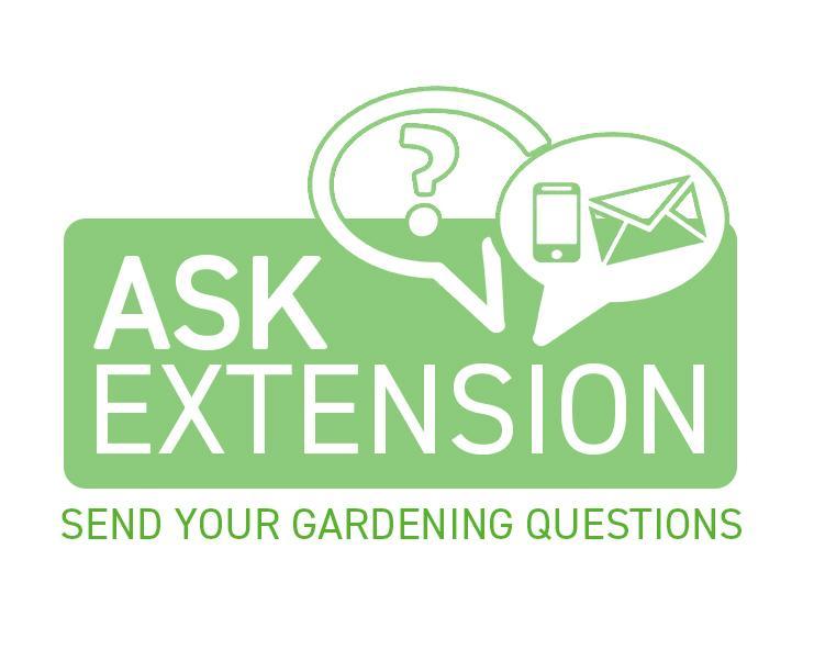 Ask Extension