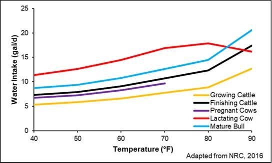 Figure 1.  Water intake of various types of cattle across increasing ambient temperature.