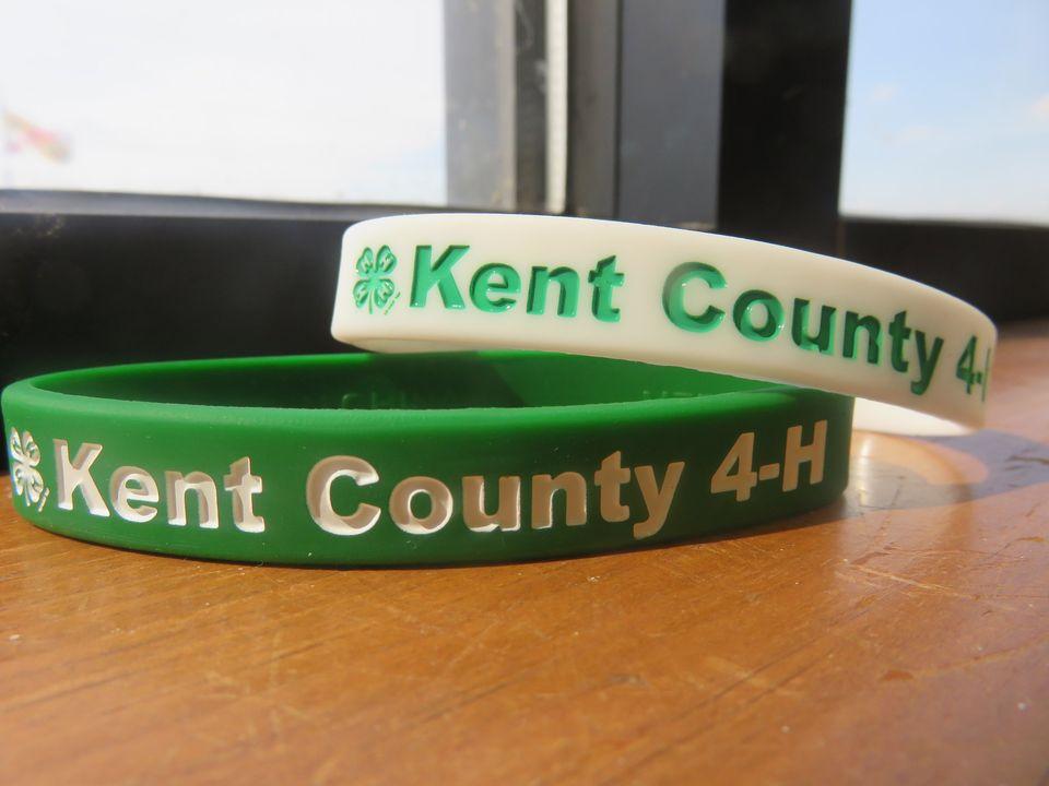 Kent County 4-H Facebook icon
