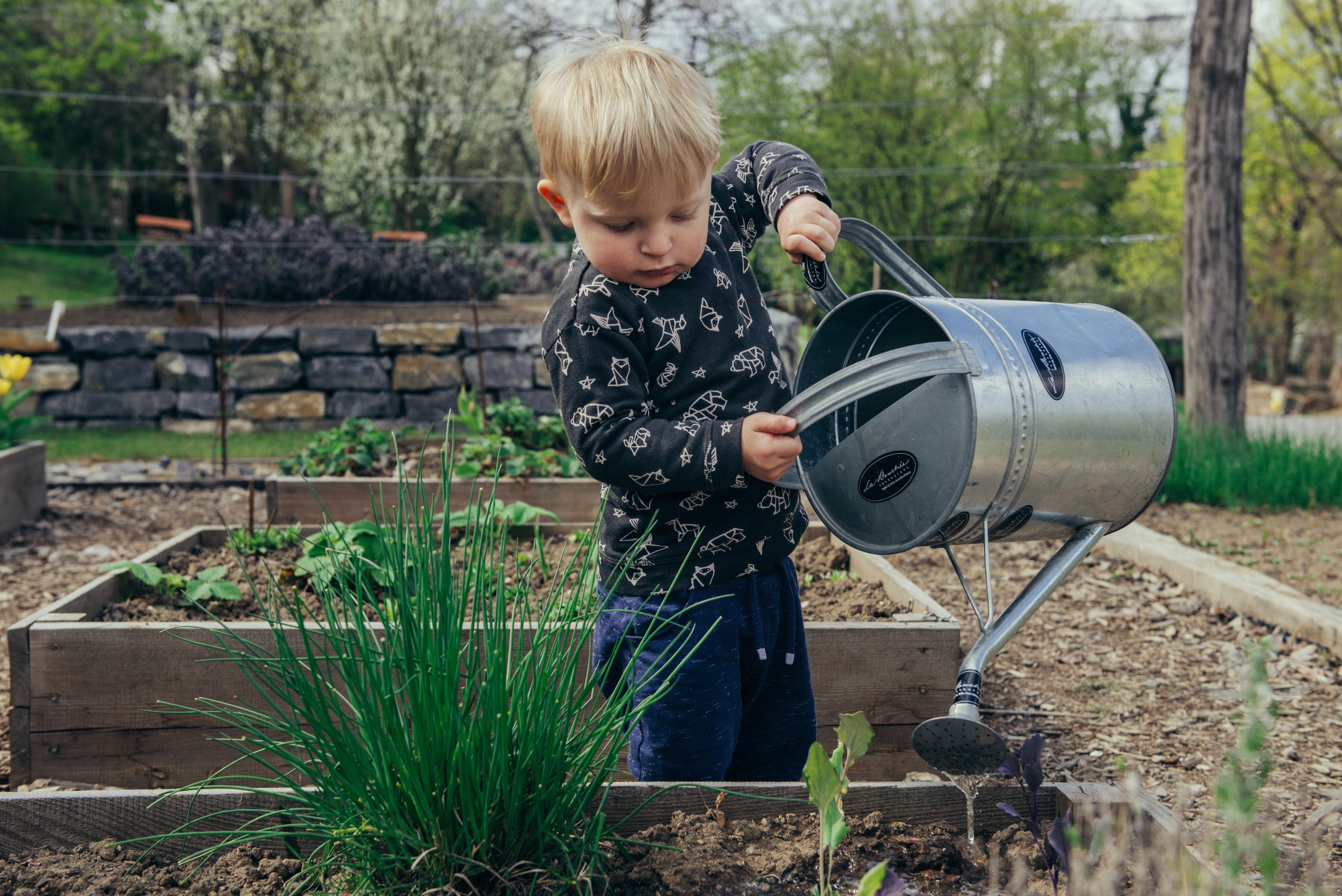 Young boy watering garden