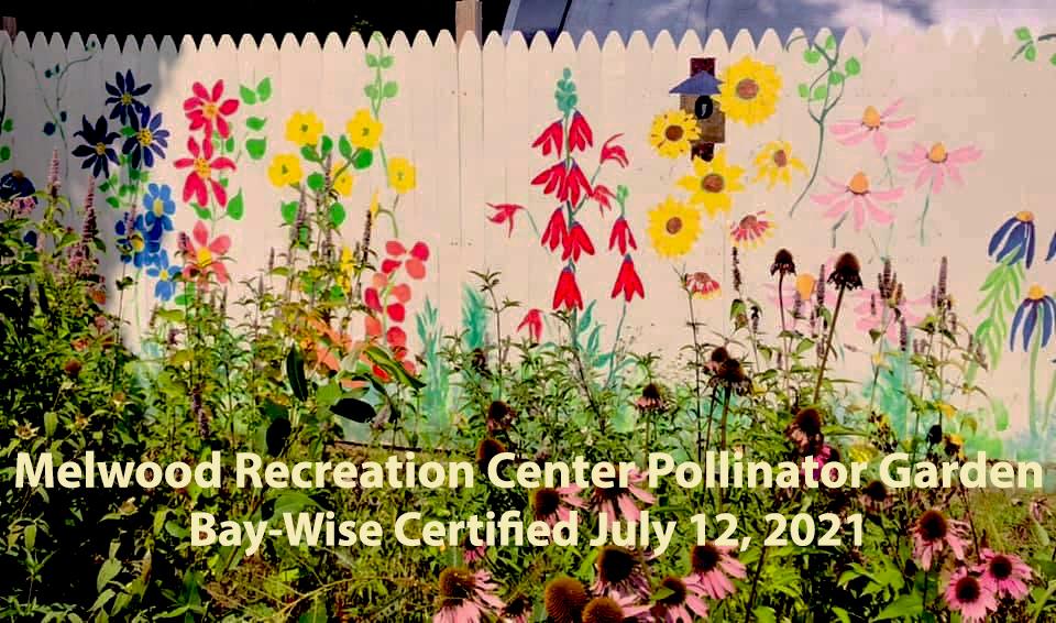 Photo of the Melwood Recreation Center Pollinator Garden