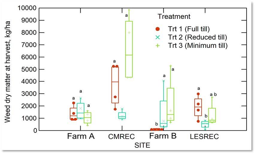Figure 5. Fall 2021 weed dry matter (kg/ha) at the four sites presented as boxplots. The horizontal line in each box represents the mean value, while the box contains 50% of the spread of the data. Induvial data points are represented by circle, triangle, or diamond symbols. Treatments within a Site labeled with the same upper-case letter do not differ significantly at P< 0.05.