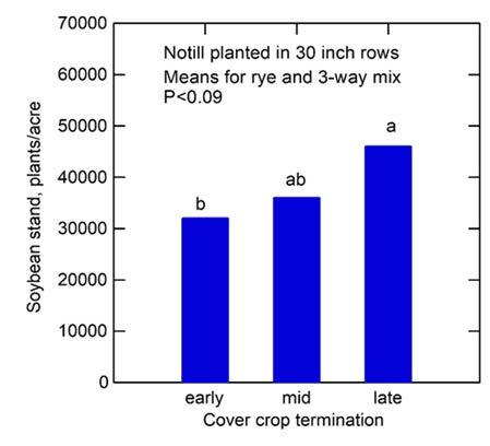 Figure 6. Soybean stand density based on two 10-ft sections of row on 03 June were significantly better in the plots where the soybeans were “planted green” and the cover crops were killed on the latest date (13 May) than in the earliest killed cover crop plots.