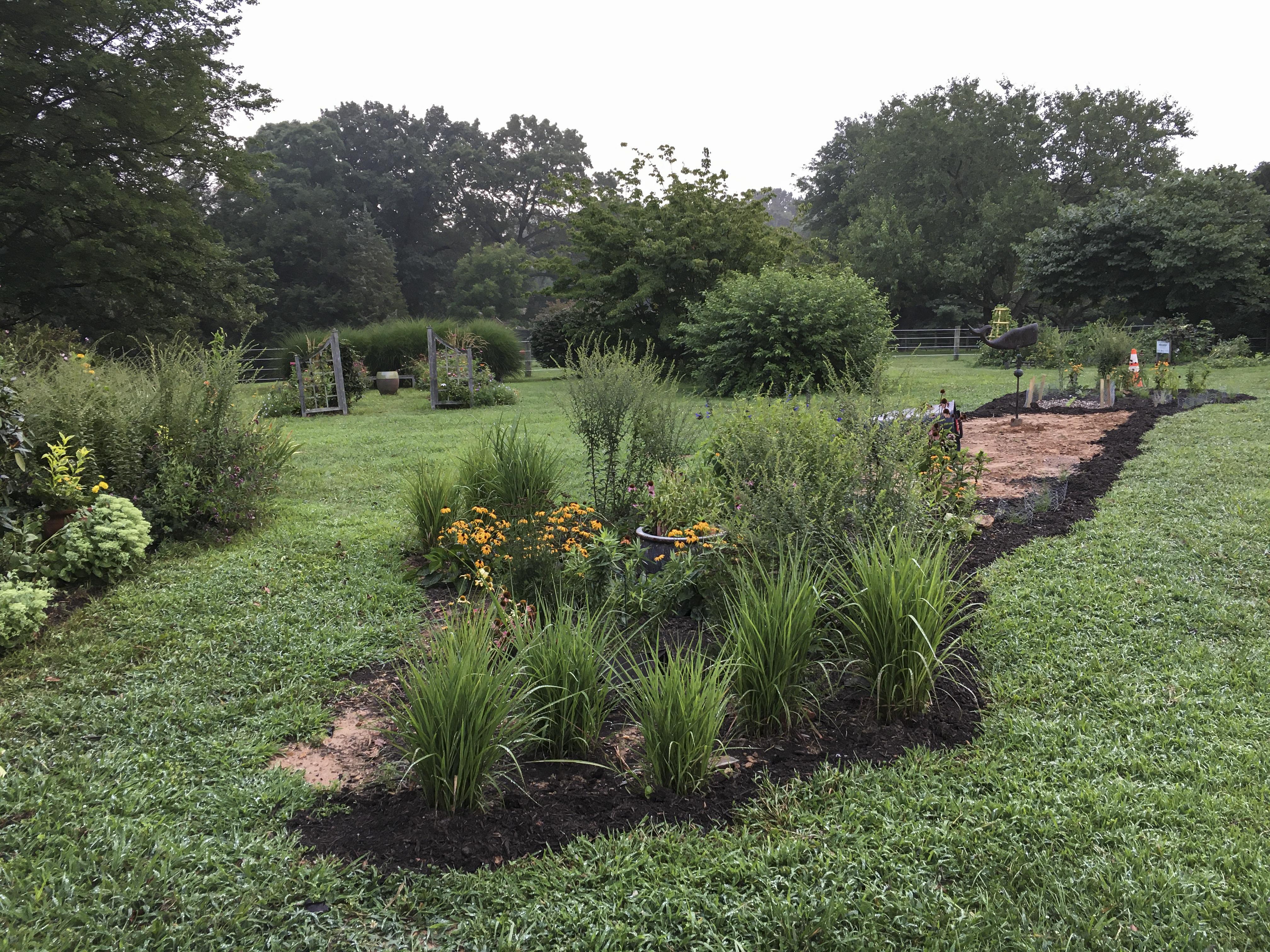 replacing a portion of lawn with biodiversity 