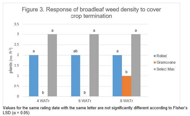 Figure 3. A graph showing the response of broadleaf weed density to cover crop termination.