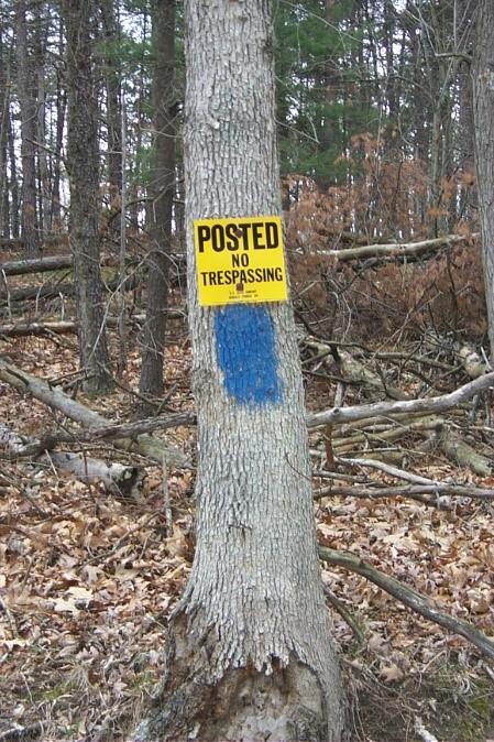 A tree with both "no trespassing" sign and blue paint boundary marker.
