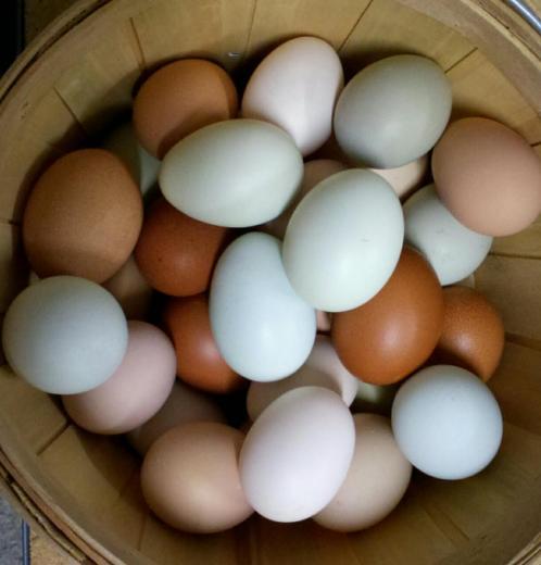 Basket of eggs of many colors