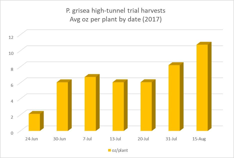 2017 ground cherry harvest graph