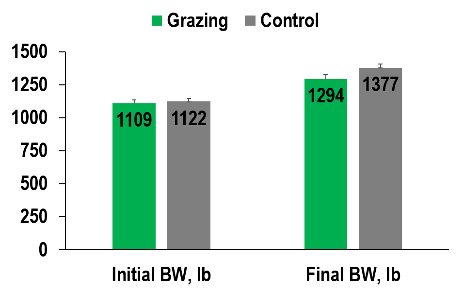 Figure 2. Bar Graph showing the Initial and final body weight for heifers on the grazing (ROT) and control (CON) treatments.