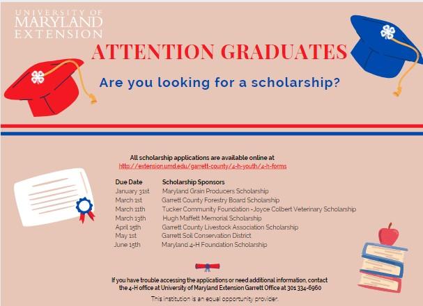 GC 4-H Scholarship Opportunities Postcard 2022