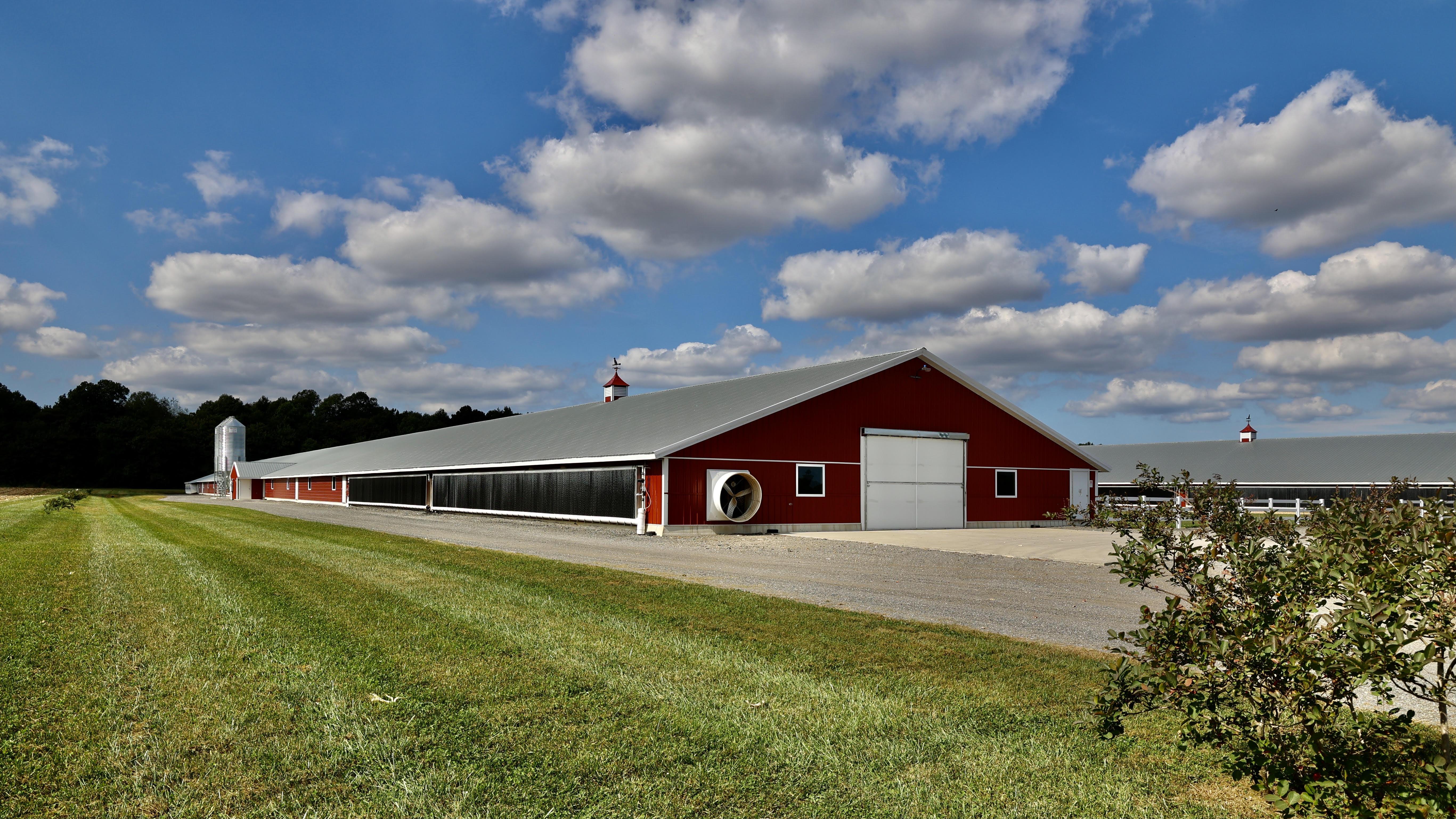 Commercial Poultry Farm by J. Moyle